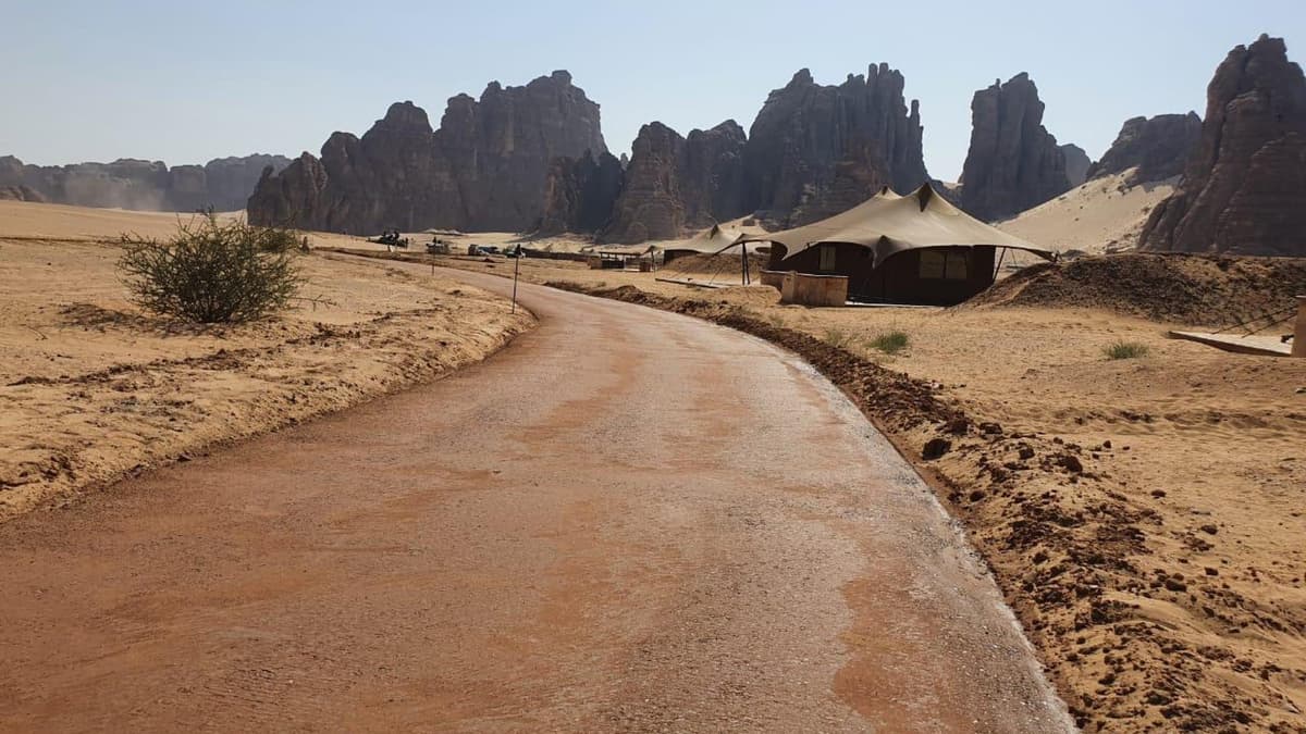 Explore the factors influencing polymer-amended soil stabilization, including polymer types, quantities, soil properties, and environmental considerations for optimal results.